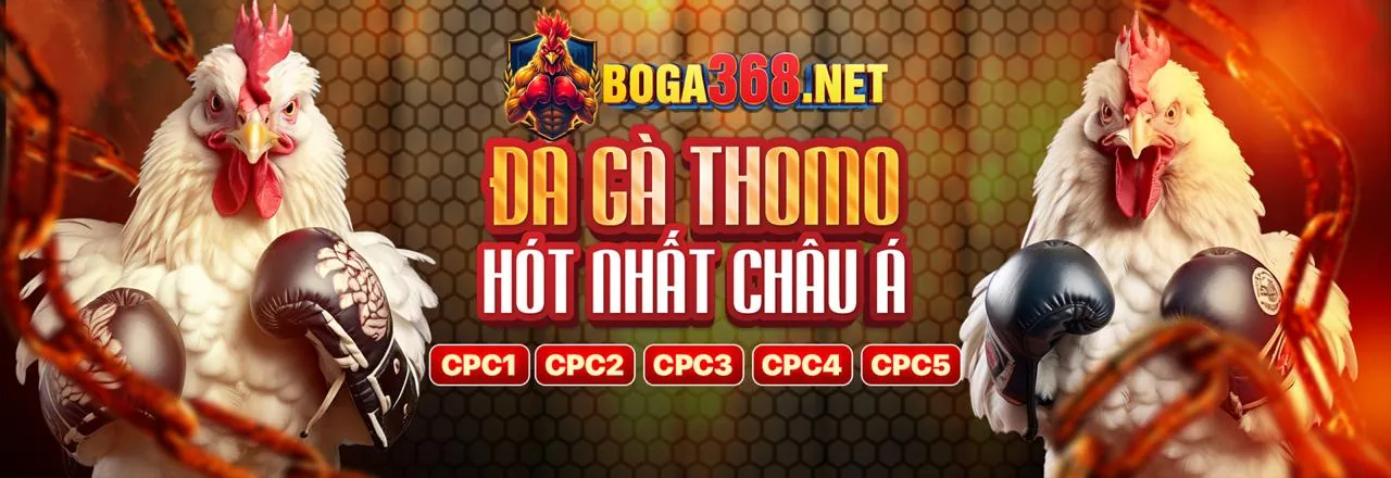 Ứng dụng vin678 nhà cái trên điện thoại và máy tính bảng