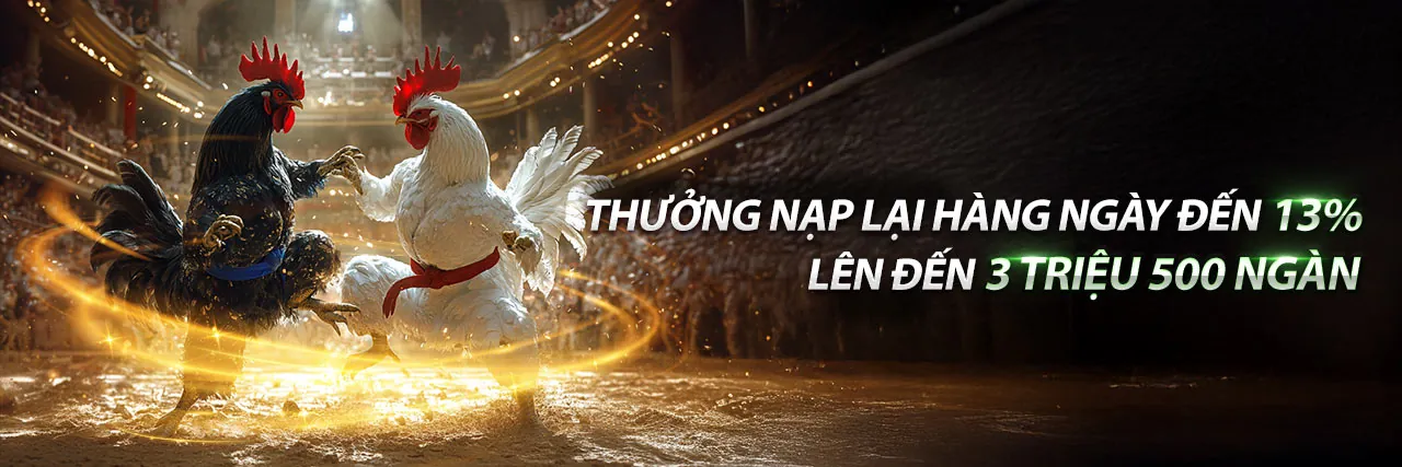 Trận Đá Gà Kịch Tính tại Vin678 Nhà Cái